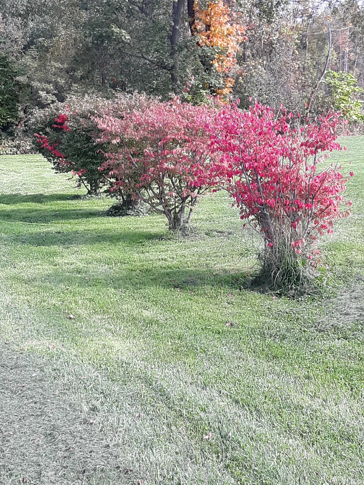 A Guy A Girl and a Laundromat photo 2