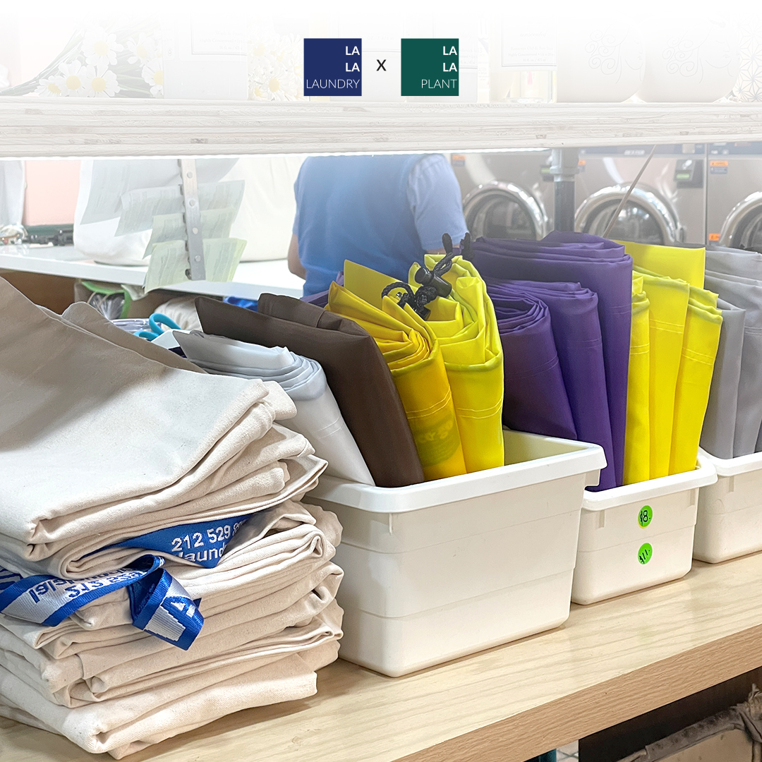 La La Laundry & plants photo 3