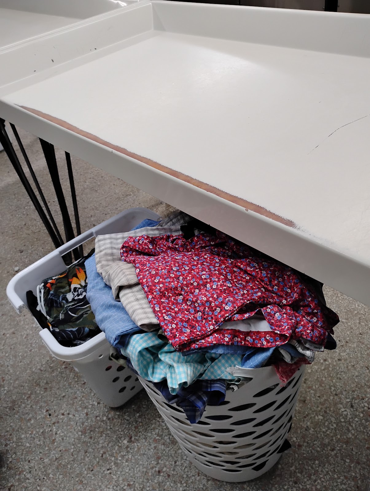 Forest City Coin Laundry photo 1