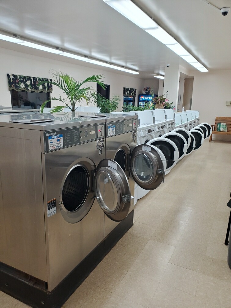Snow White Laundromat photo 1