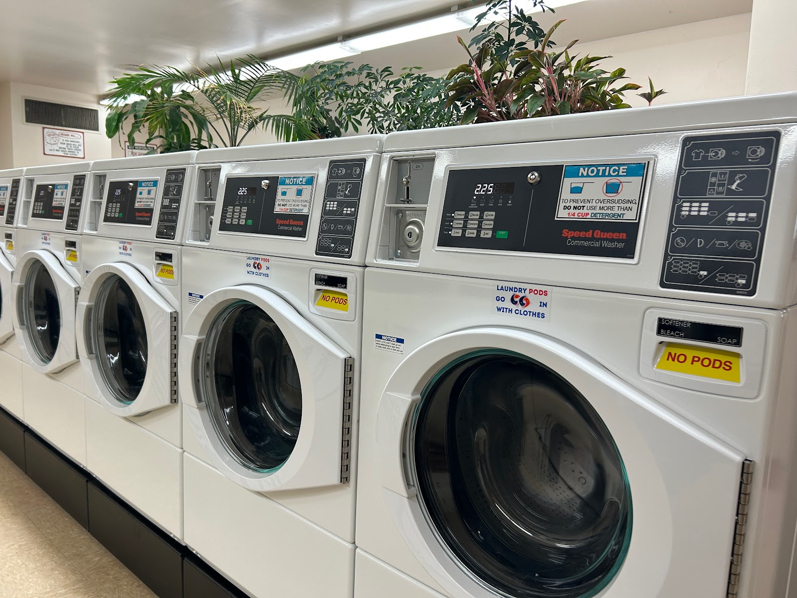 Snow White Laundromat photo 2