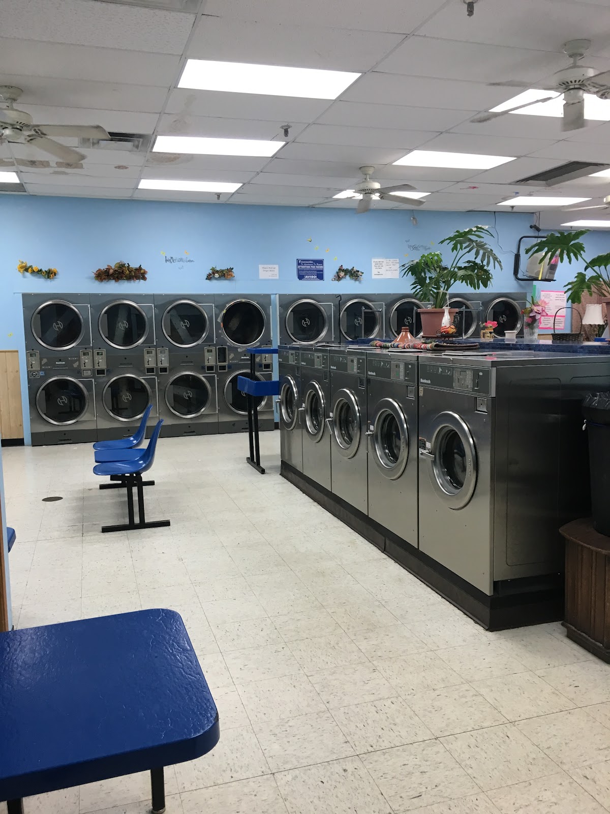 Rochelle Family laundry photo 3