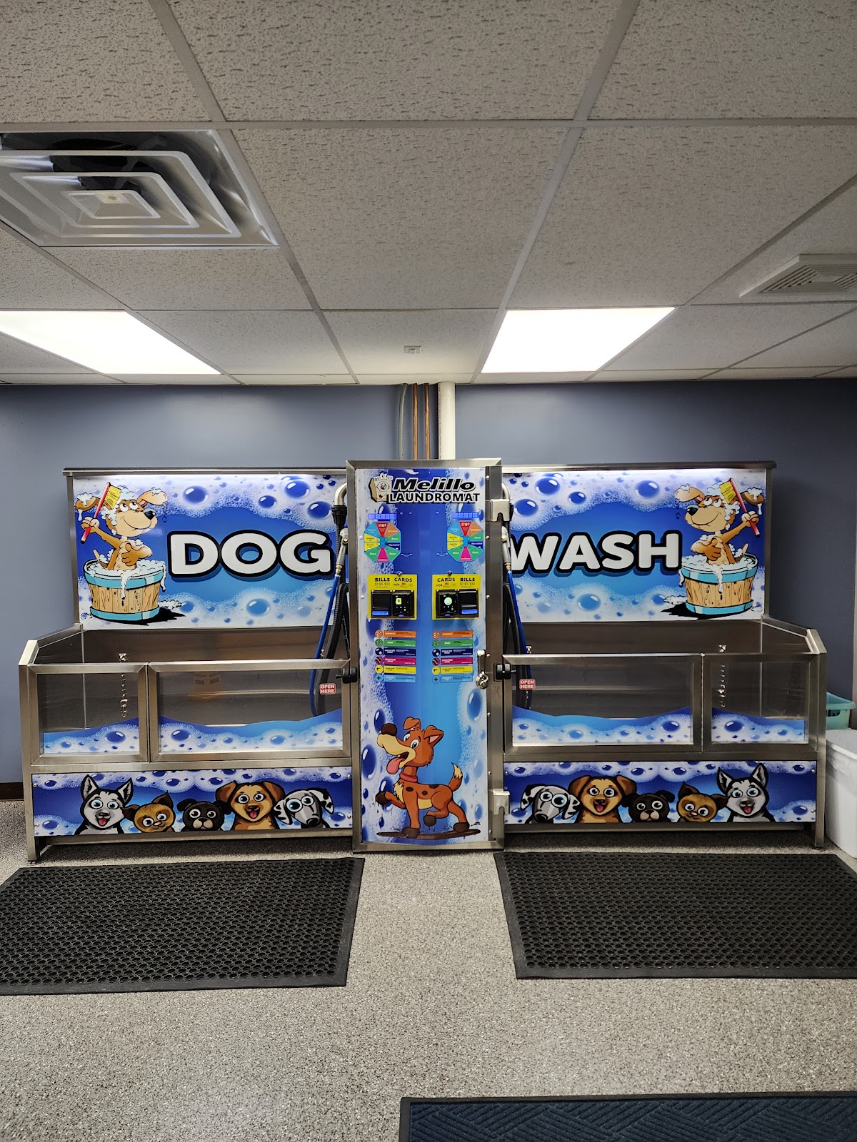Melillo Coin Laundry and Dog Wash photo 1