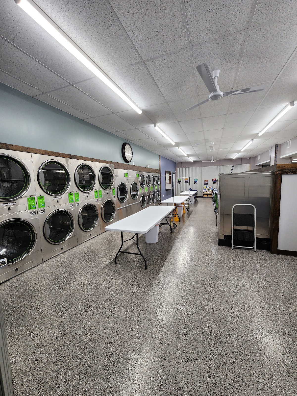Melillo Coin Laundry and Dog Wash photo 2