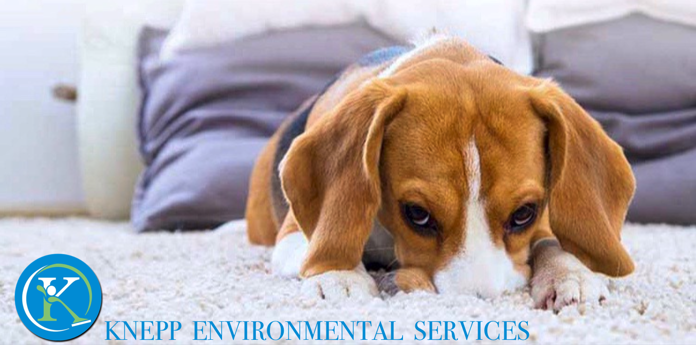 Knepp Environmental Services photo 1